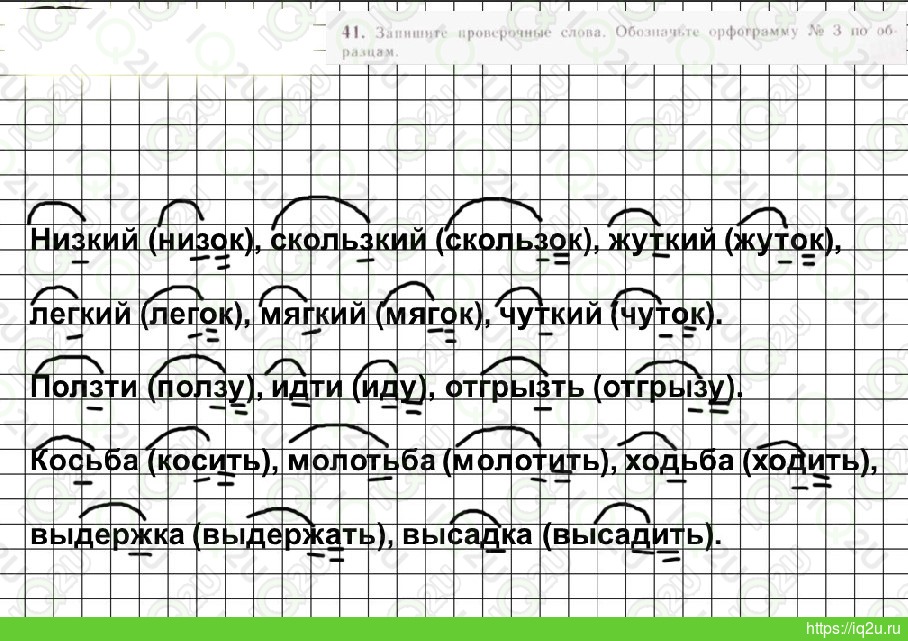 Низкий низок 5 класс. Низкий проверочное слово. Проверочное слово к слову чуткий. Чуткикий проверочные слова. Мягкий проверочное слово.