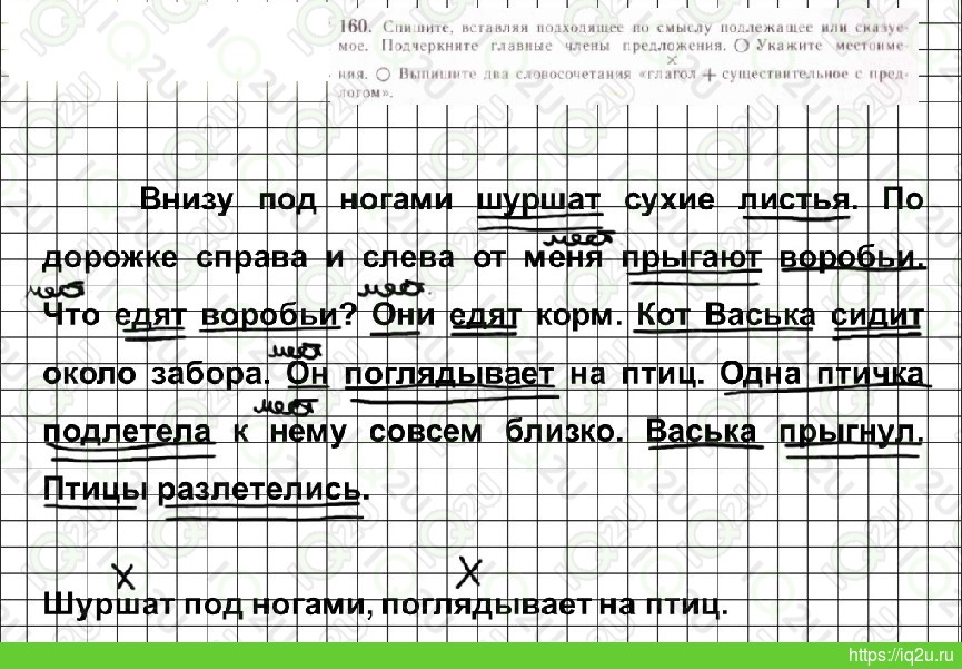 ГДЗ по Русскому языку 5 класс Ладыженская, Баранова Решебник новый