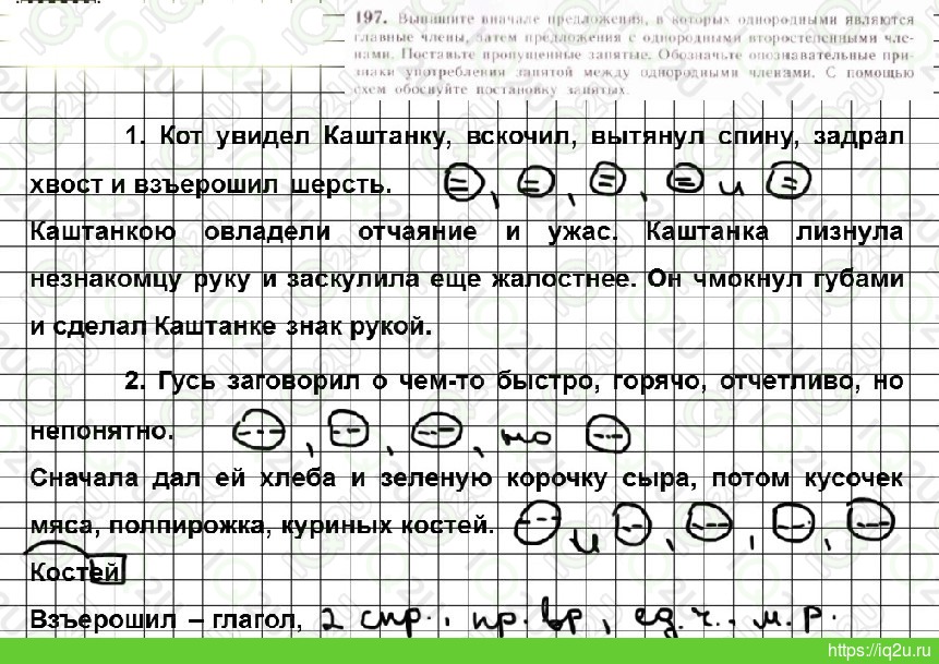 Русский язык 3 класс упр 206