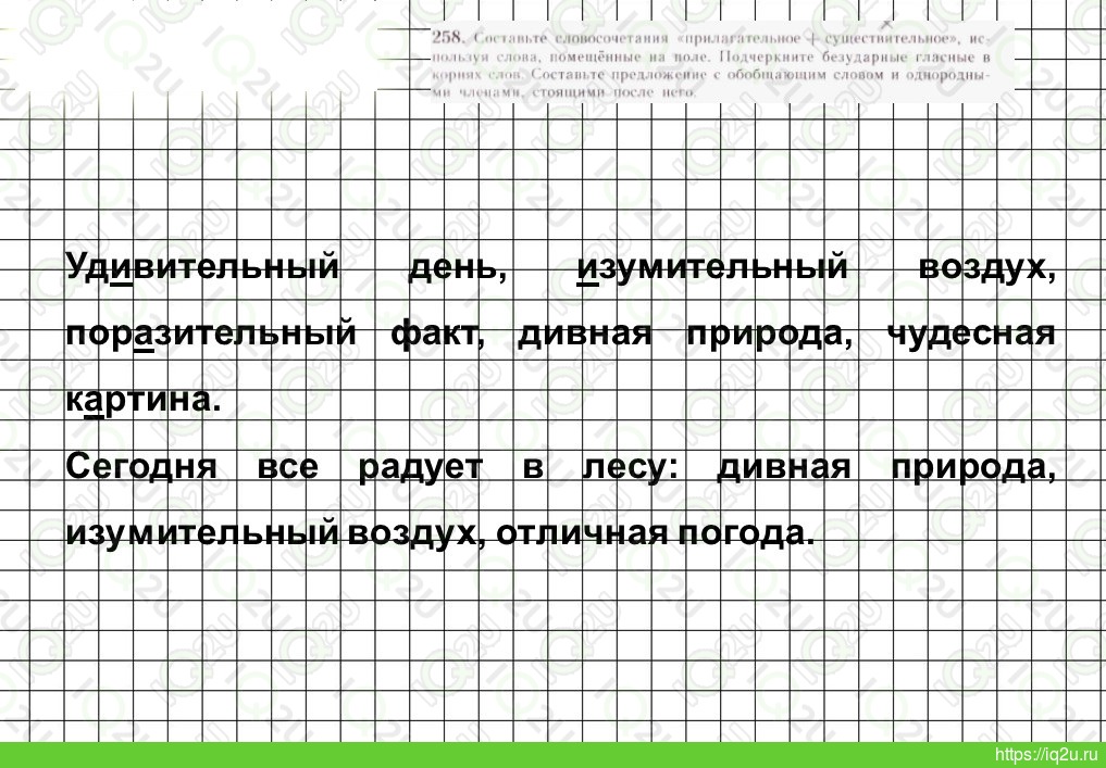 Домашняя по русскому 5 класс ладыженская